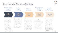 Finch & Beak - Developing a Net-Zero Strategy.pdf